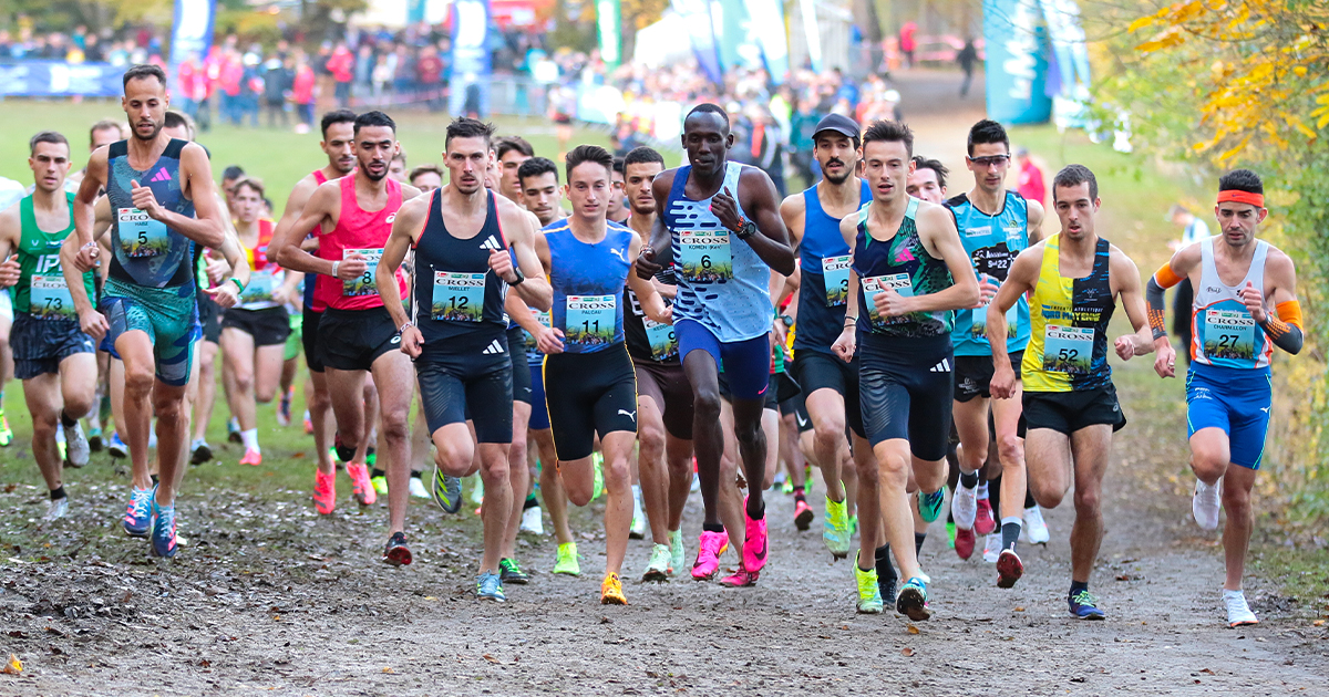 Toutes les informations pour suivre en direct le Cross d'Allonnes 2024 qui présage le plein de spectacle avec Jimmy Gressier et Yann Schrub.