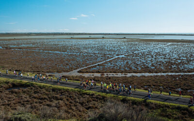 Marathon Côte Indigo : 5000 coureurs brillent sous le soleil